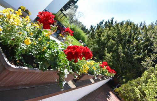 Ferienwohnungen Kurhotel Eichinger - Foto 5