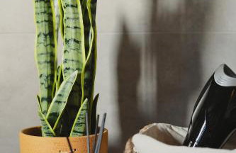 Country house 2 - Foto 38