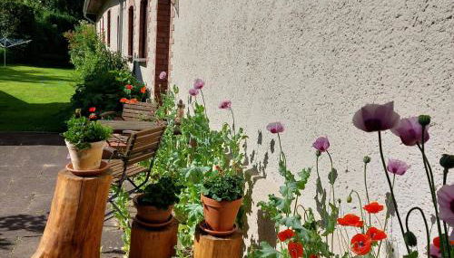 Mini-1-Raum-Apartment mit eigenem Eingang - Foto 4