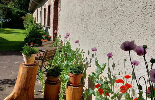 Mini-1-Raum-Apartment mit eigenem Eingang - Foto 4