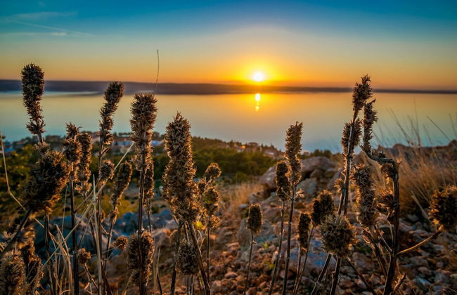 Apartments Branka - Foto 25