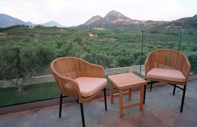 Terra Divina - Foto 47