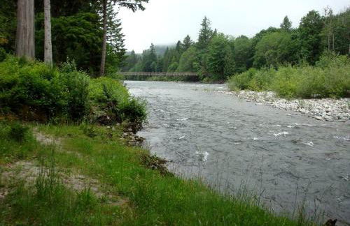 Pet-Friendly Cabin Rental Overlooking a River near Skykomish, Washington - Foto 17