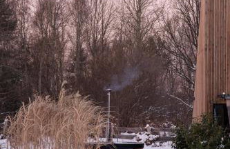 Zen Sasino - Foto 16