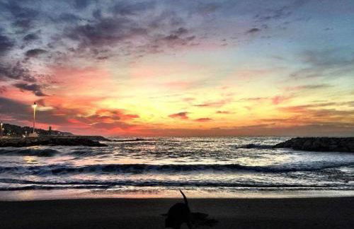 Málaga Alcolea - Photo 23