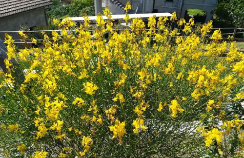 Un soffio dal cielo - Foto 38