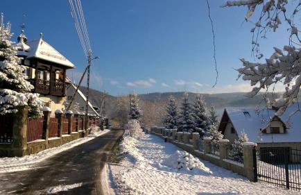 Wysokie Łąki domki w górach - Foto 52