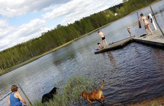 Knut's Camping och Lägenheter - Foto 20