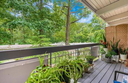 Entire one bedroom apartment - Foto 6