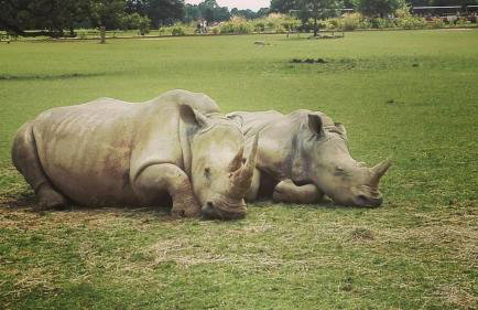 Cozy Cotswold getaway near Burford - Foto 30