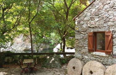 Moinho das fragas - Foto 10