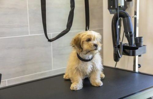 Landing Stylish 1BD Clubhouse Gym - Foto 45