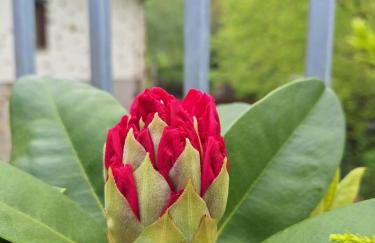 Casa Rural Areano - Foto 87