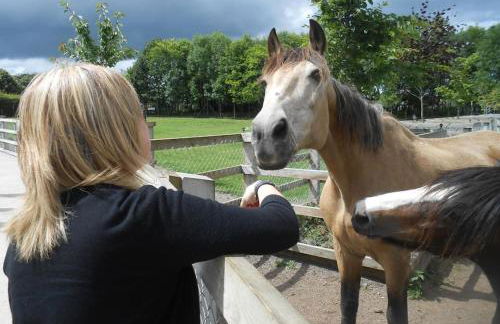 South Lake House - 300m to South Lake Leisure Centre - Foto 29
