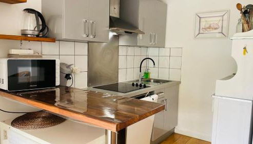 Bordeaux Centre T2 Duplex 65m Hospital Pellegrin CHU - Foto 5, dishwasher, pet friendly, toaster