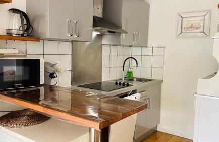 Bordeaux Centre T2 Duplex 65m Hospital Pellegrin CHU - Foto 5