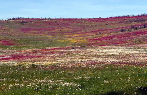 CASA DA ALDEIA II - Foto 38