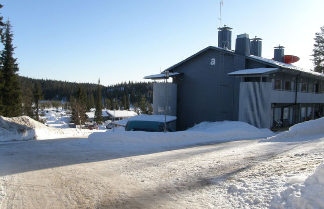 Vuosselin Helmi - Foto 72