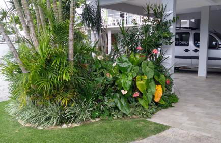 Casas Adilio Florianopolis-norte - Foto 23