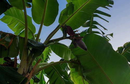 Angelos Studios - Photo 3