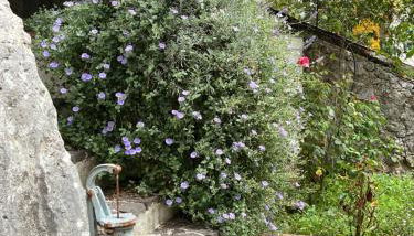 casa monte maggio - Foto 4