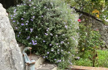 casa monte maggio - Foto 4