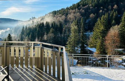 Ferienwohnung Panoramablick - super für deine Familie und die besten Aussicht in ganz Todtmoos - Foto 43