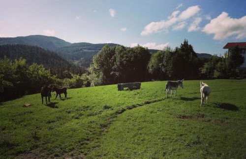 Agroturismo Pagoederraga - Foto 40