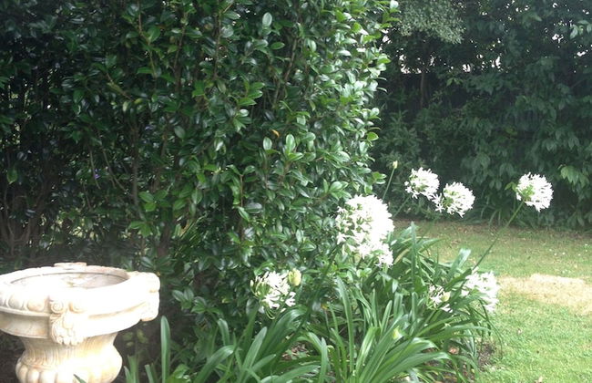 Walnut Grove Lodge - Foto 66