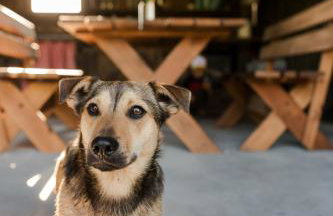 Szept Oberlandu - boutique, luxury Villa in Liva Park - Foto 68