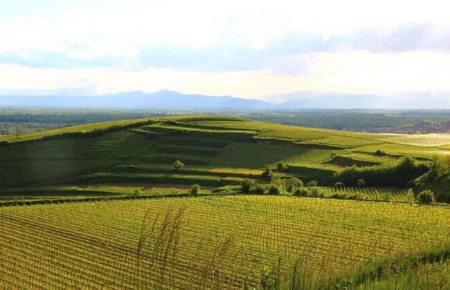 Ferienwohnung in Bischoffingen - Foto 29