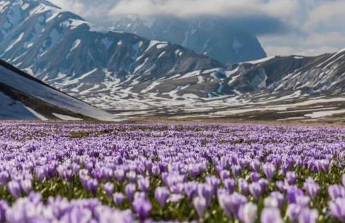 La montagna incantata - Photo 29