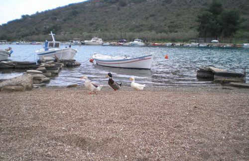 Christina Apartments - Foto 23