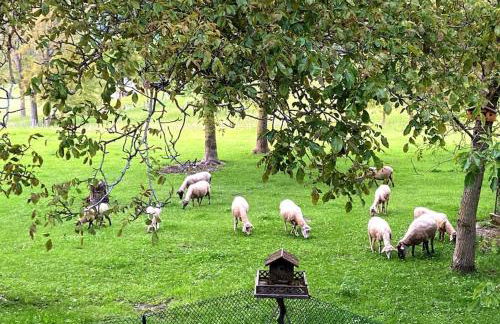 Appartamento Ortanella, Al pozzo Vecchio - Foto 20