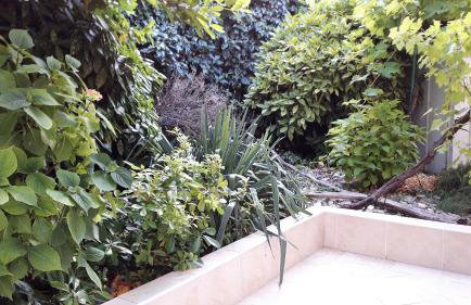 Valun Seaside Apartments - Foto 12