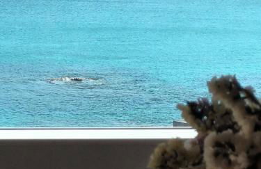 Casiña Palmira - Foto 45