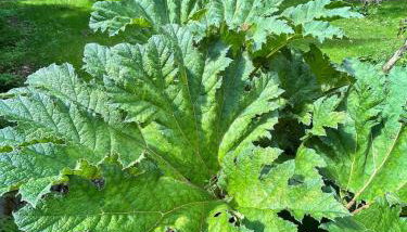 Stunning Edwardian Country Home Unwind - Foto 3