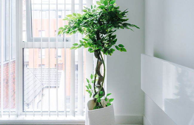 Hilltop Serviced Apartments - Northern Quarter - Photo 33