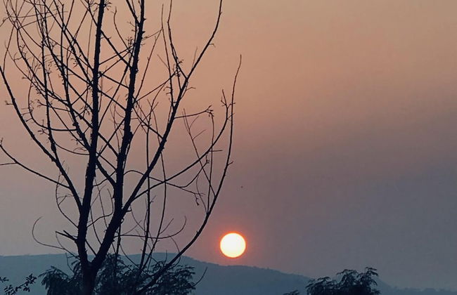 ingawale farmhouse - Photo 39