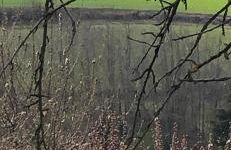 ElleCi Casa Vacanze - Photo 63