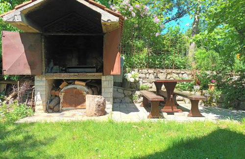 Jane's Garden - Foto 23