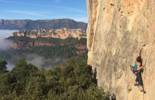 Ulldemolins Niuet - Foto 36