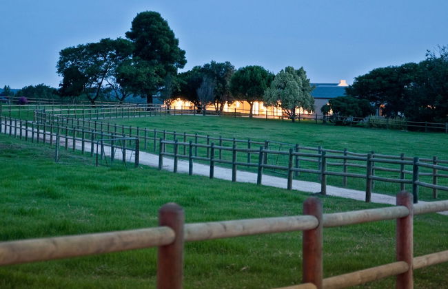 Kay and Monty Vineyard View - Photo 22