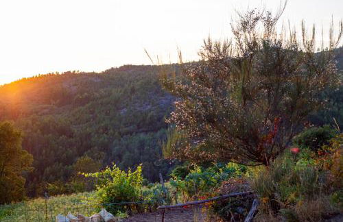 Horizontes Serranos - Foto 37