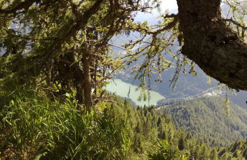 Residence Molin - Foto 49