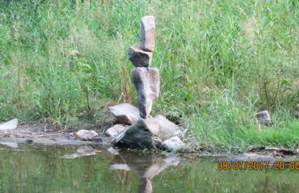 Wildgarten - Foto 21