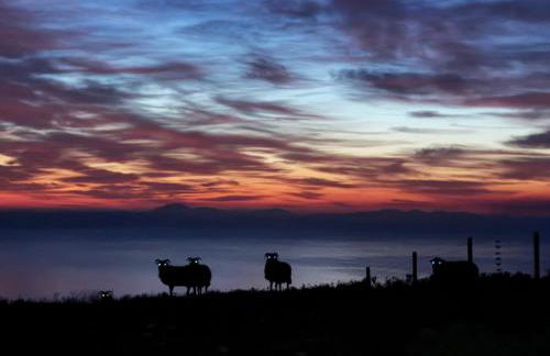 Bonnie Brae Croft Bothies - Foto 54