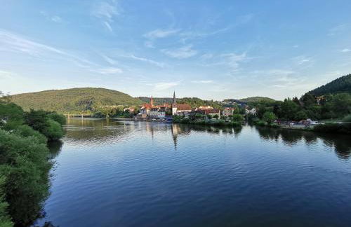 Ferienwohnungen Flussufer - Neckargemünd Altstadt - Foto 47