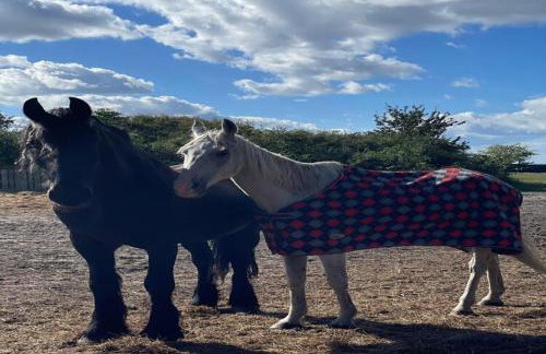 Holiday home with sauna and whirlpool - Foto 19