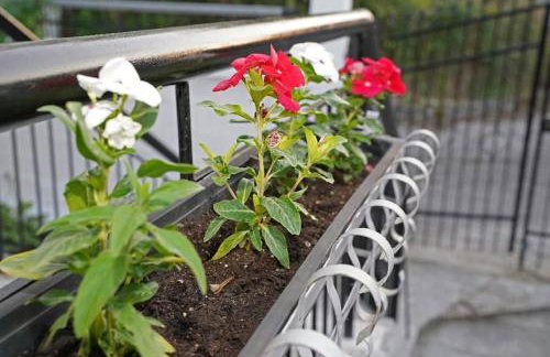 Village Villa, Agios Georgios Grevena - Foto 36